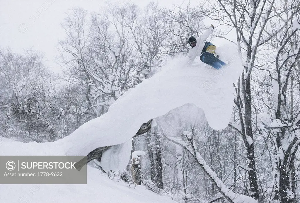 Snowboarder riding on Tree