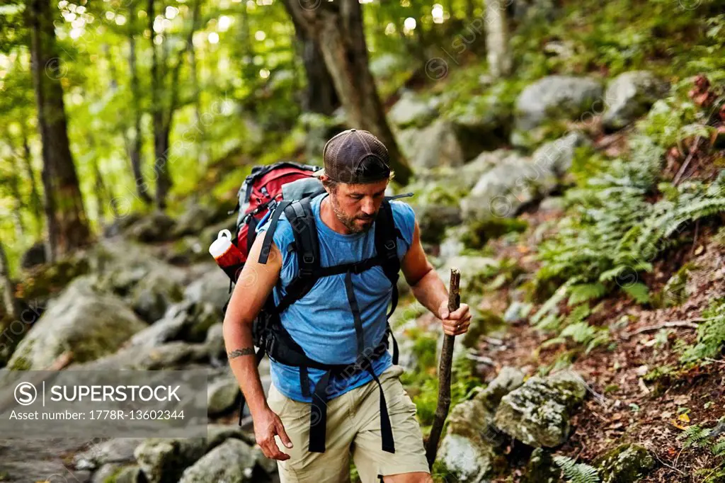 A Man Hikes Along The Appalachian Trail