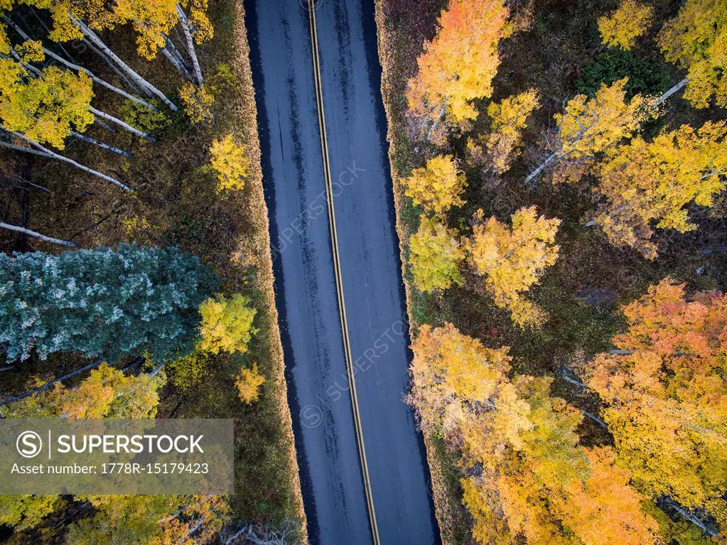 Aerial view of fall colors and a road in Aspen Colorado