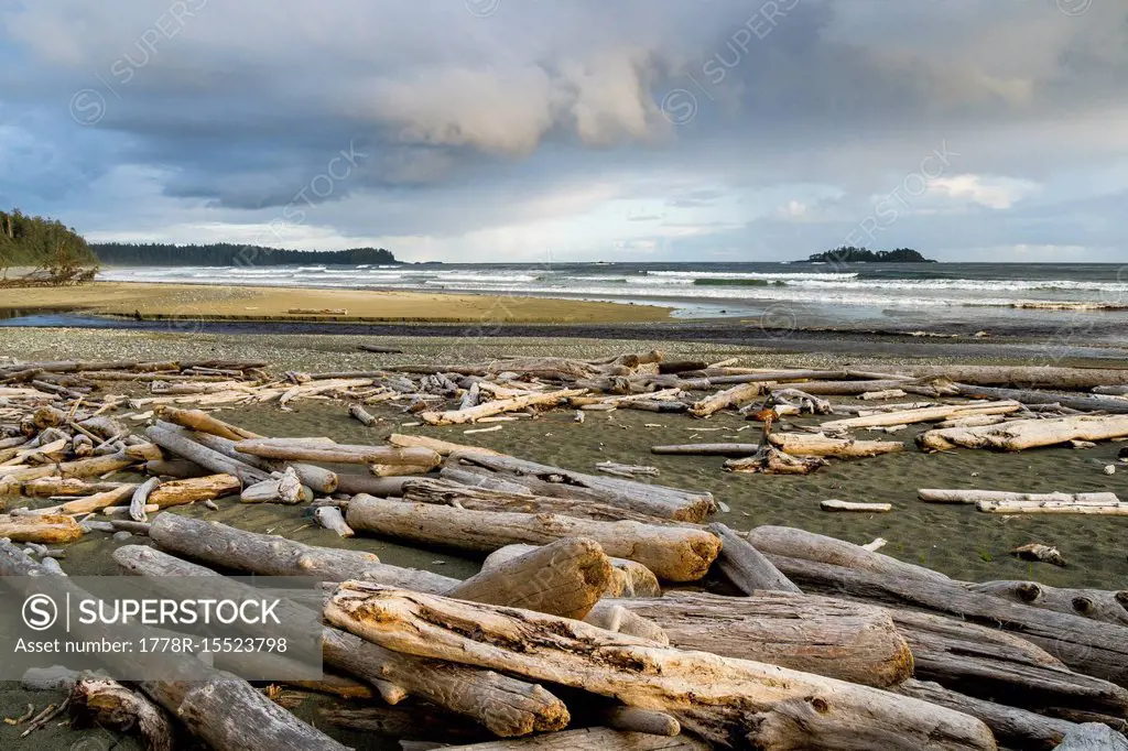 View of seashore, Florencia"Bay, Pacific Rim Park,"Tofino, British Columbia, Canada