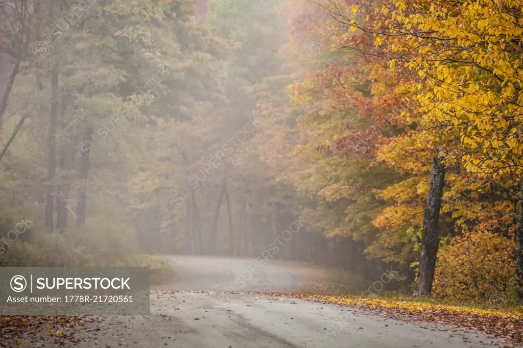 Fog And Autumn Foliage In Southern Vermont