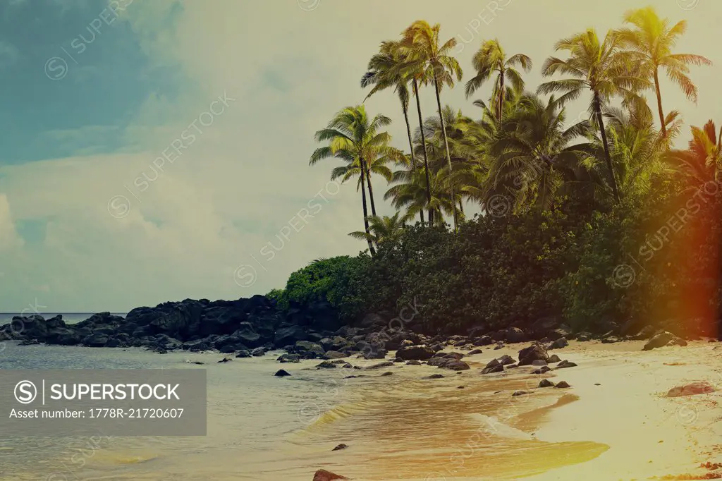 Scenic View Of Beach On The North Shore Of Oahu, Hawaii