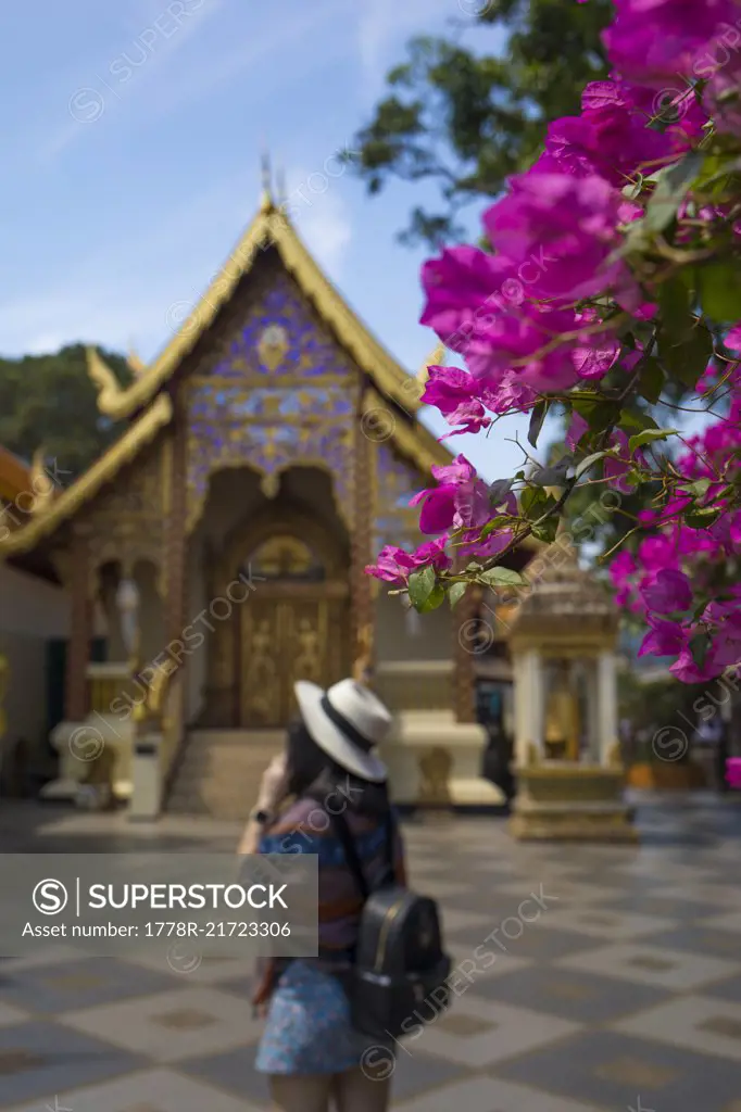 Flower bloom at Wat Phra That Doi Suthep near Chiang Mai, Thailand