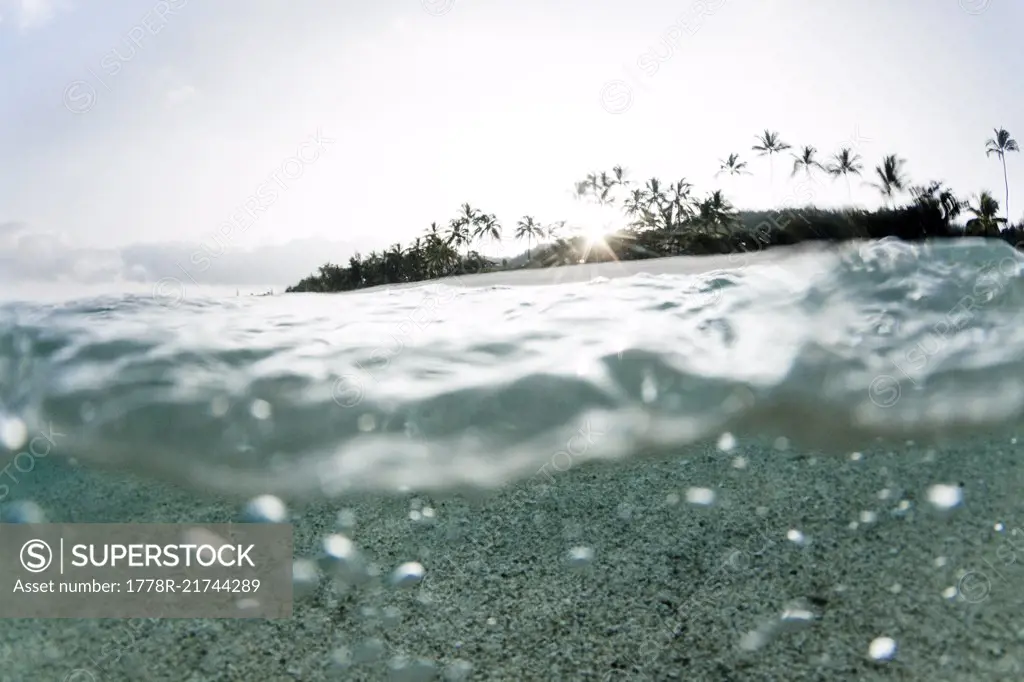 Split level view of ocean and palm trees on North Shore of Oahu, Hawaii, USA