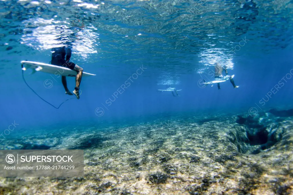 Underwater view of surfers above reef at Pipeline, on North Shore of Oahu, Hawaii, USA