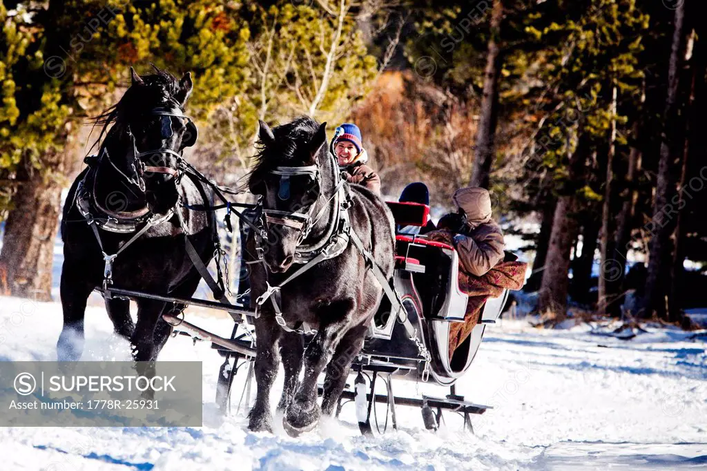 a family sits under blankets in the winter, on snow filled sleigh ride. While a sleigh is pulled by two black horses.