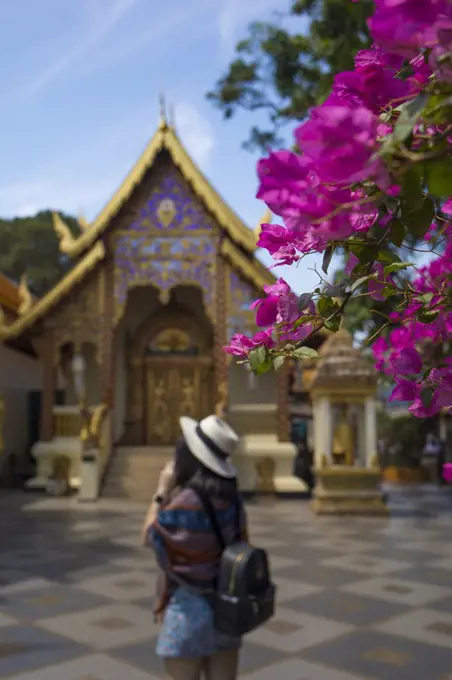 Flower bloom at Wat Phra That Doi Suthep near Chiang Mai, Thailand