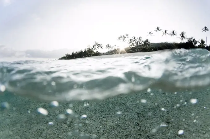 Split level view of ocean and palm trees on North Shore of Oahu, Hawaii, USA