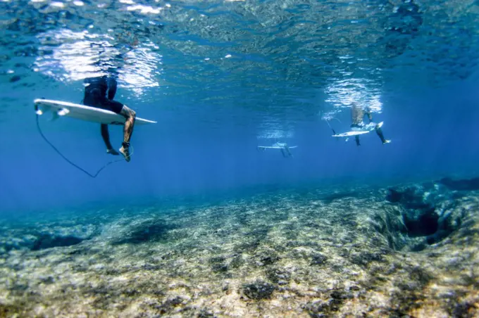 Underwater view of surfers above reef at Pipeline, on North Shore of Oahu, Hawaii, USA