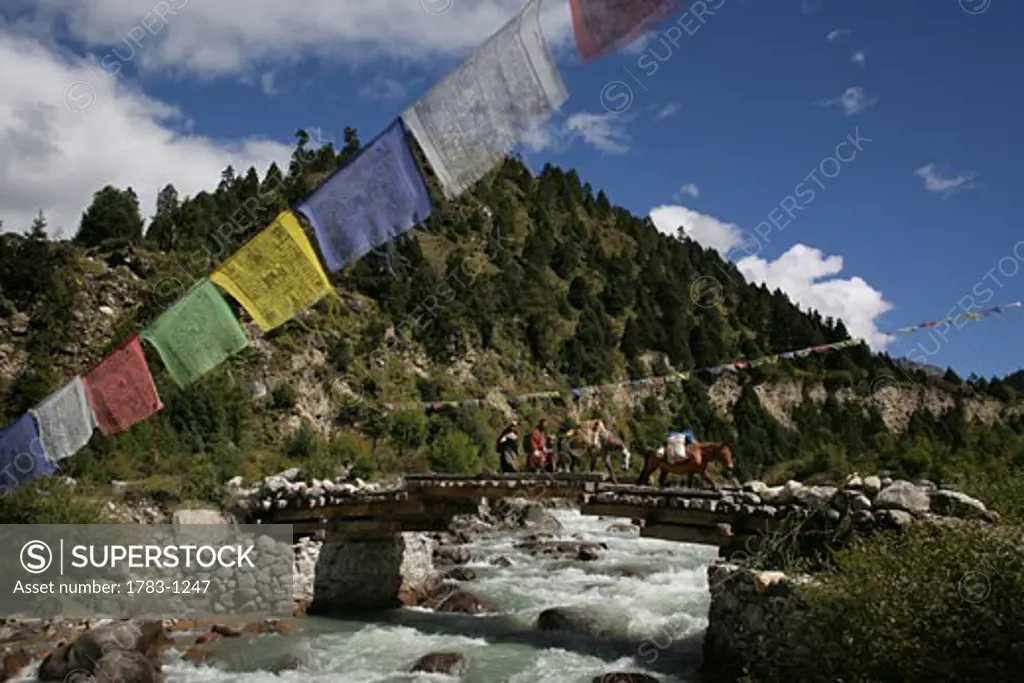 Laya Tribe, Layap people, Laya, North West Bhutan