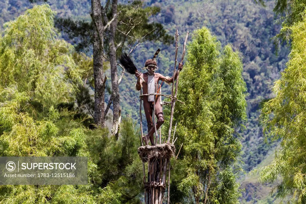 Dani man standing on guard on a watchtower, Obia Village, Baliem Valley, Central Highlands of Western New Guinea, Papua, Indonesia