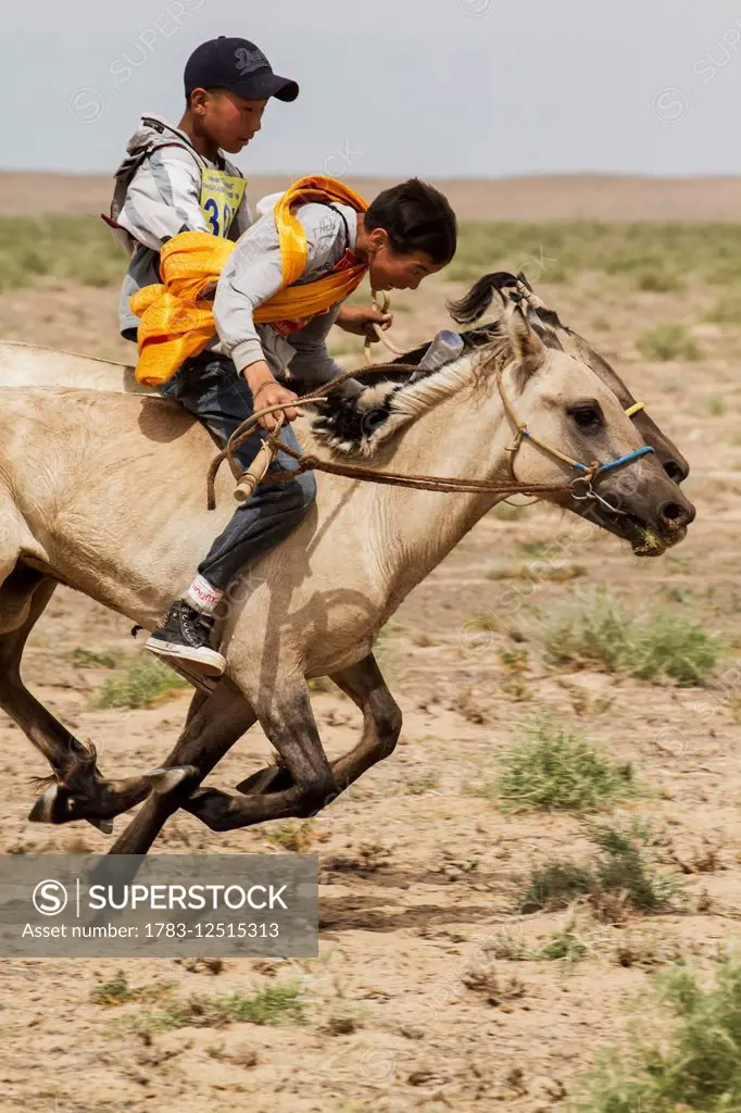 Boys riding horses in the Daaga (two-year old) horse race held during the Naadam Festival in Mandal Ovoo, Ömnögovi Province, Mongolia