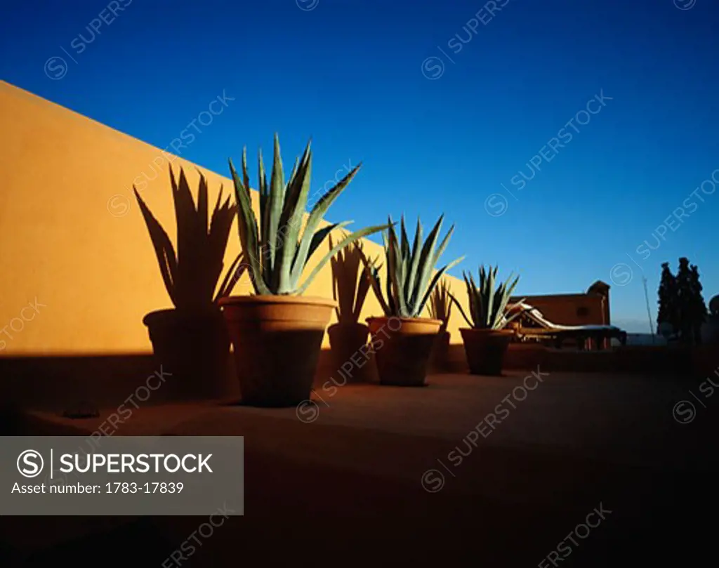 Aloe plants and sun lounger on a roof terrace, Marrakech, Morocco  