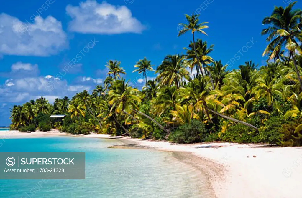 Palm tree lined beach on Tapuae Tai Island, Aitutaki, Cook Islands.