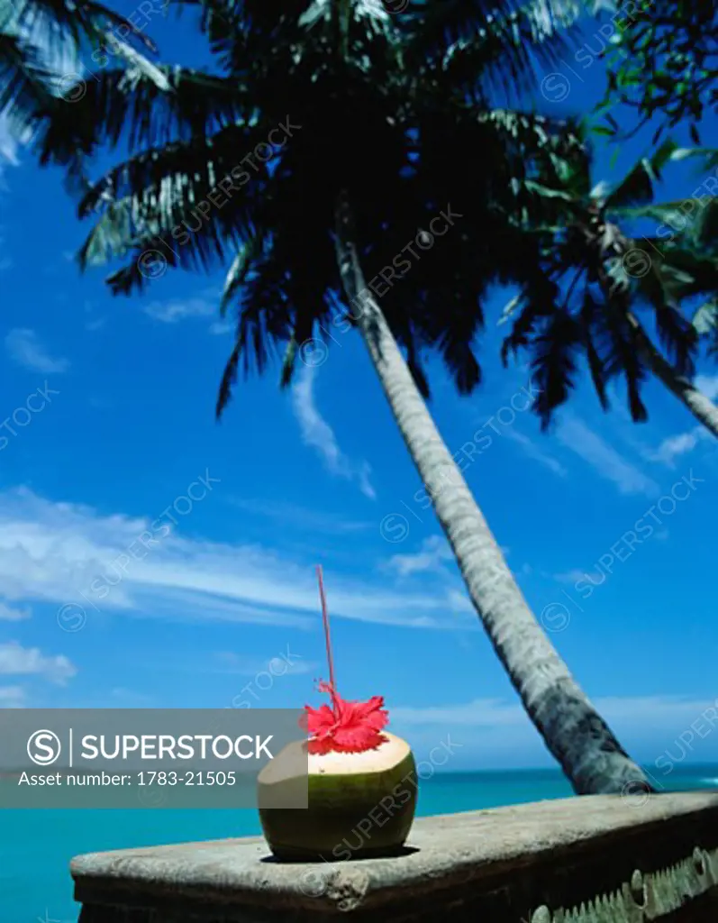 Cocktail in a coconut under palm trees beside ocean, Taproban Island, Welligama Bay, Sri Lanka