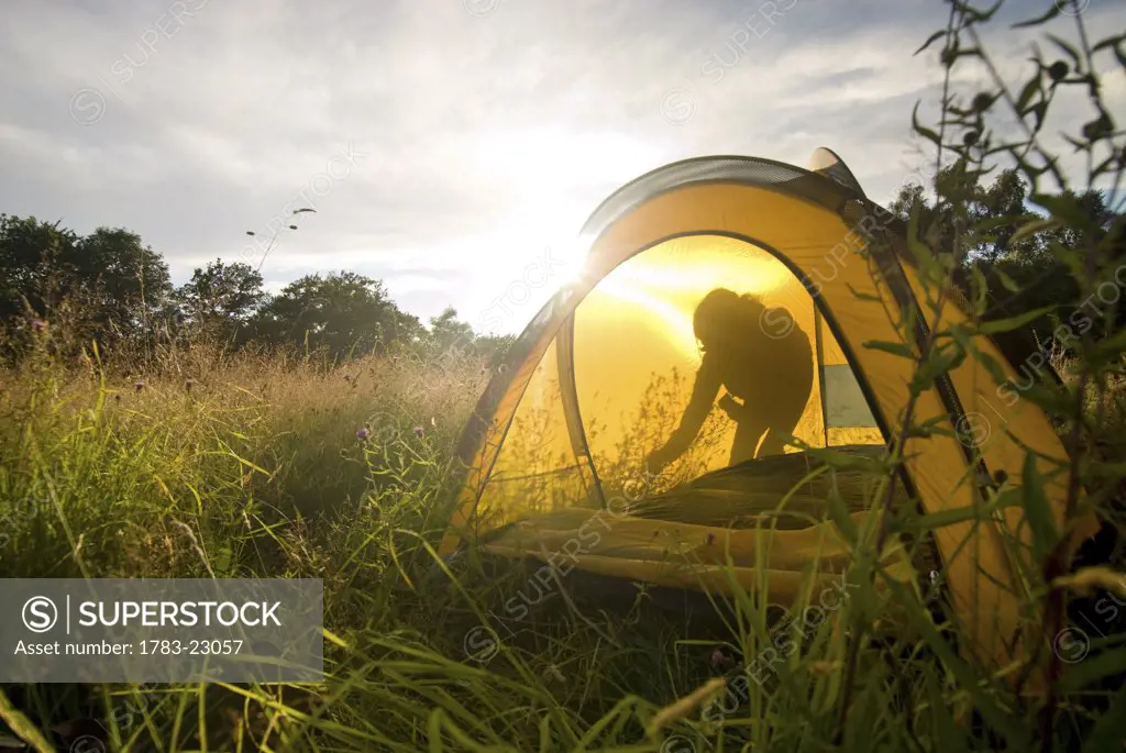 Person setting up tent in meadow, Groombridge, Kent, UK.