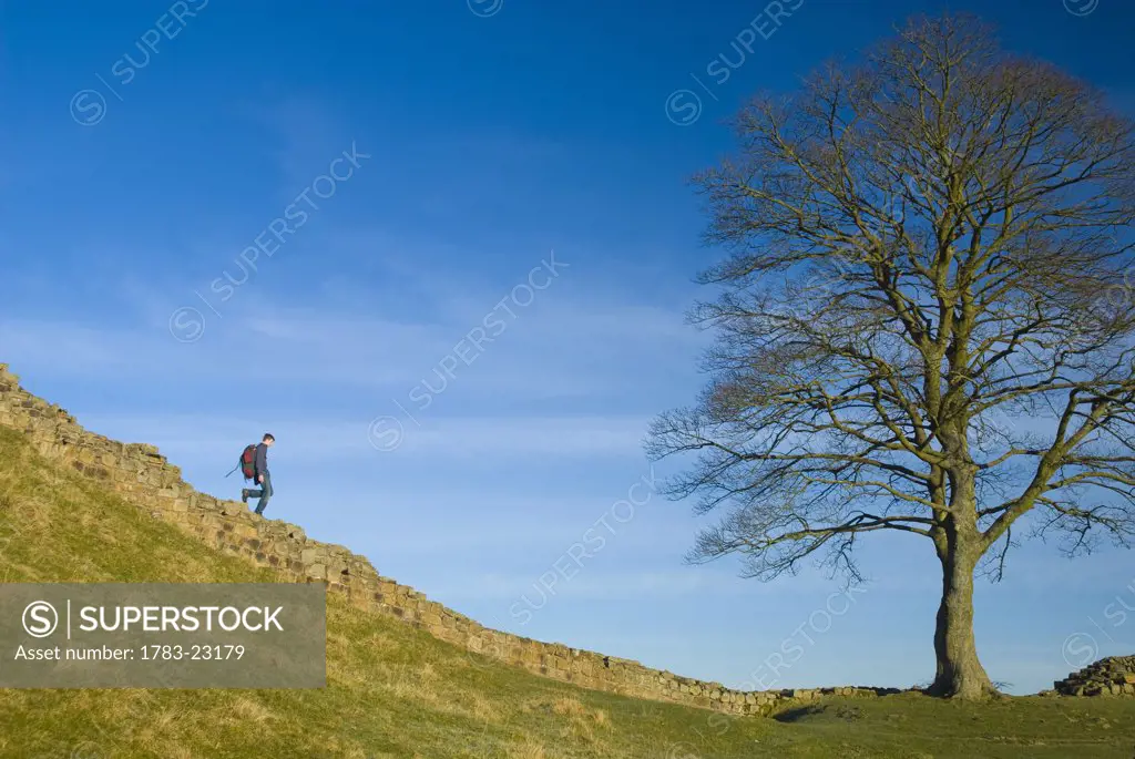 Man walking along Hadrian's Wall, Northumerland, England, UK.