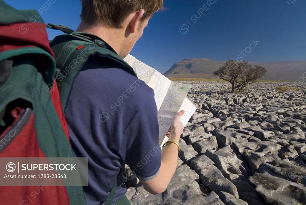 Hiker with map on limestone pavement, Twisleton Scars near Ingleton, Yorkshire Dales National Park, North Yorkshire, England.