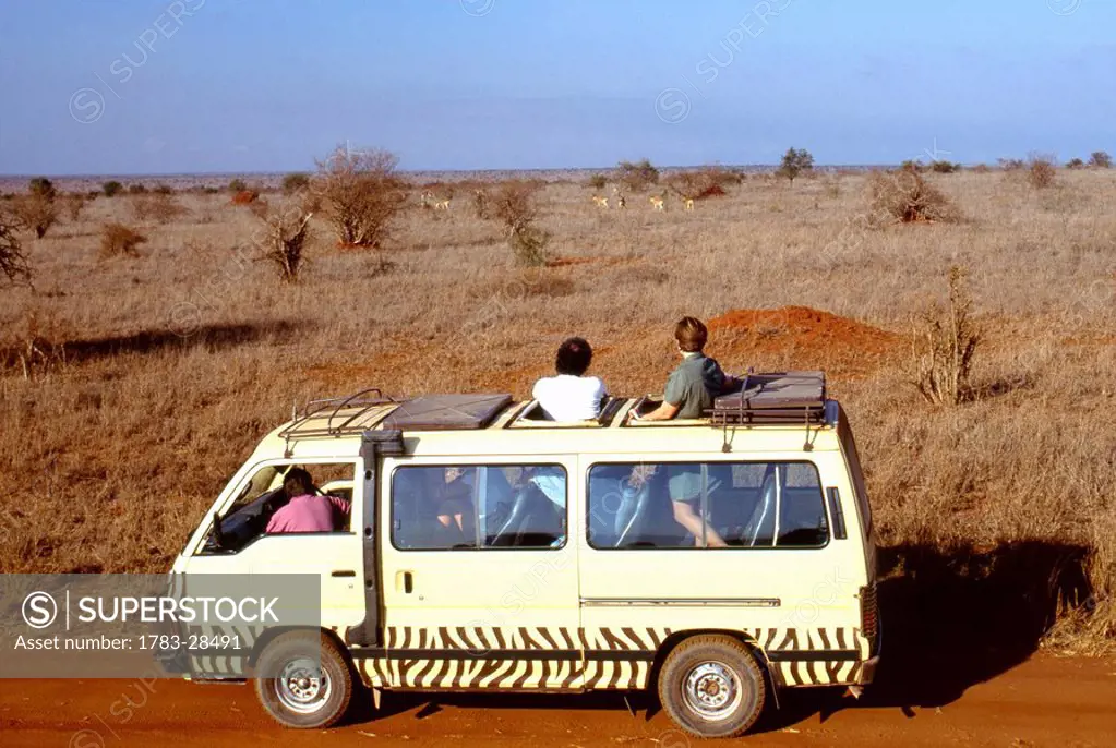 Safari tour, Kenya