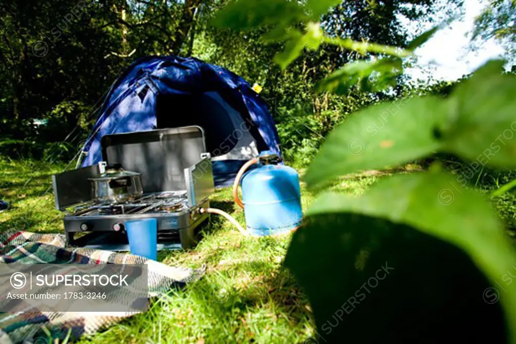 Camping, tent, Hollands Wood Campsite, New Forest, Hampshire, UK. 