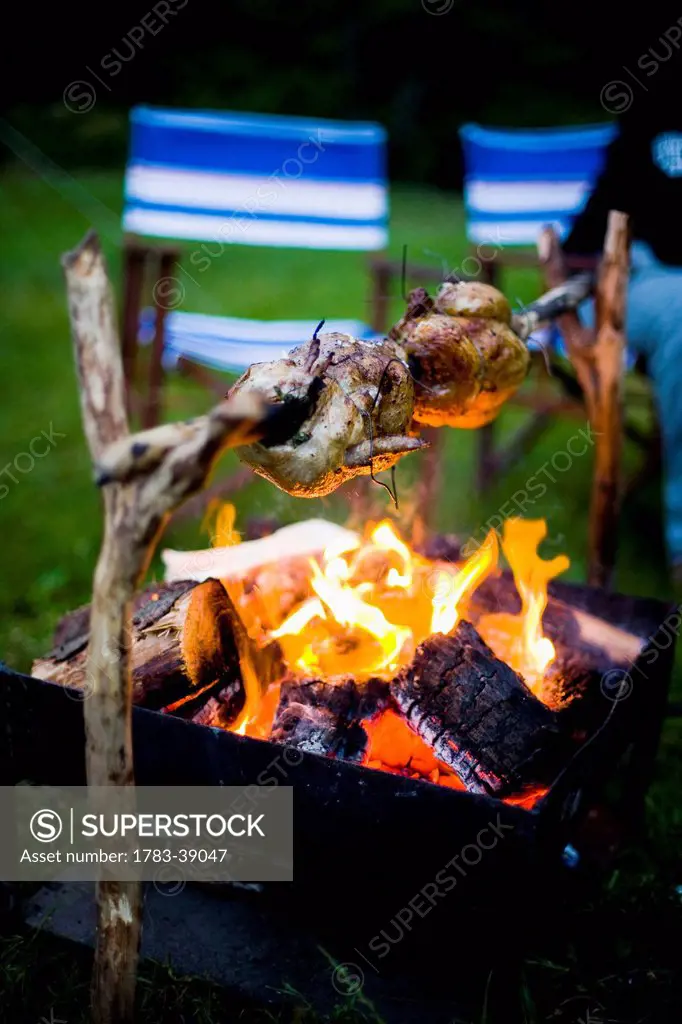 Spit roast chicken over open fire at Llyn Gwynant Campsite; Nant Ggwynant, Snowdonia National Park, North Wales, Wales, UK