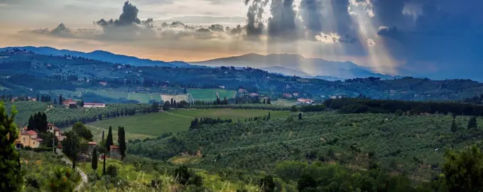 Sunbeams through the clouds over vineyards; Capanuccia, Florence, Italy