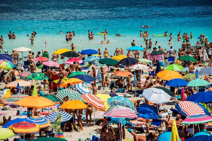 Tourists enjoying the turquoise waters of famous Pelosa Beach; Stintino, Sardinia, Italy