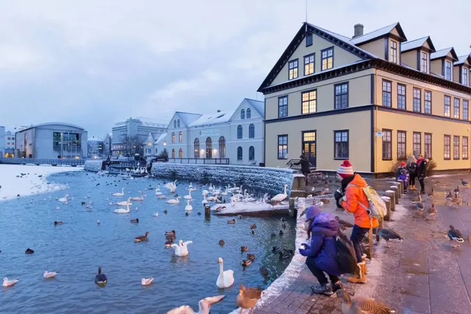 Tourists wearing jackets and hats stand at the edge taking photos of swans and ducks in the Tjornin (the pond) in central Reykjavik; Reykjavik, Icelan...