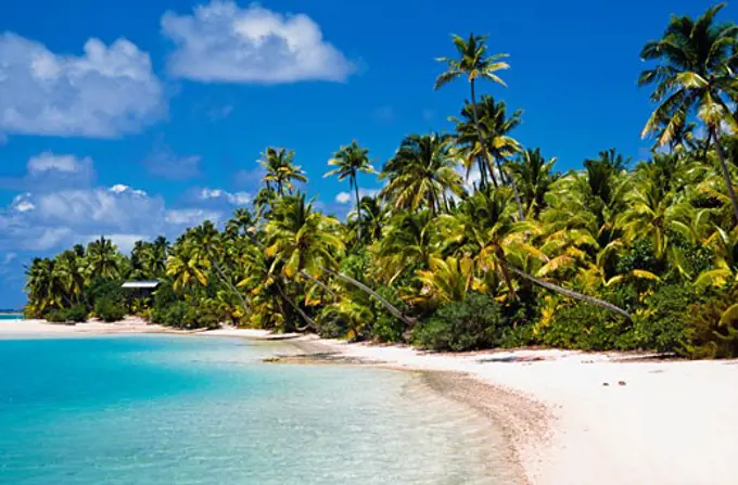 Palm tree lined beach on Tapuae Tai Island, Aitutaki, Cook Islands.