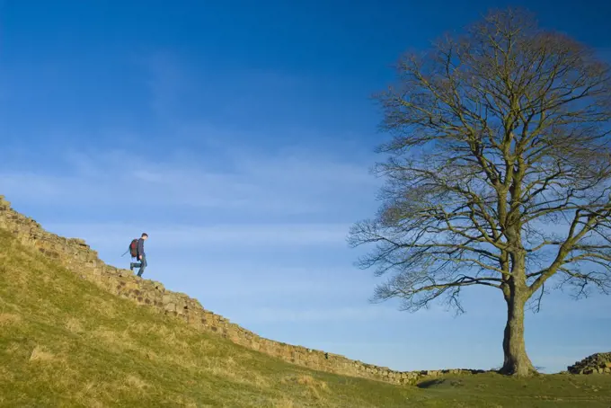 Man walking along Hadrian's Wall, Northumerland, England, UK.