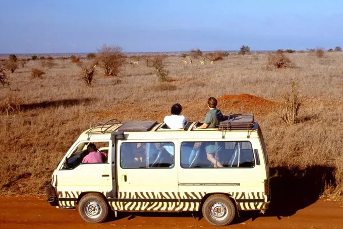 Safari tour, Kenya