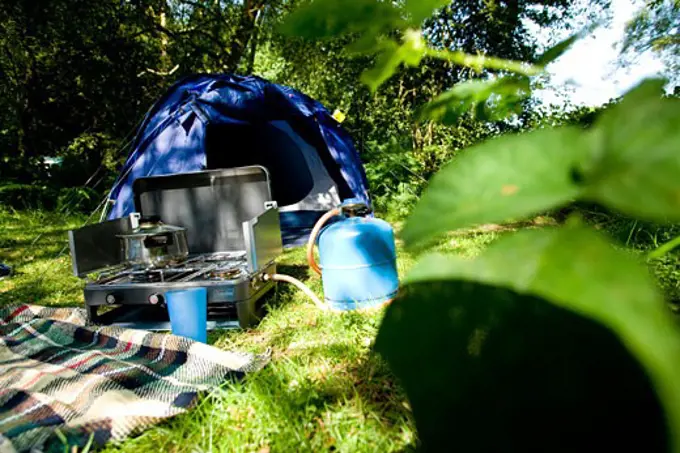 Camping, tent, Hollands Wood Campsite, New Forest, Hampshire, UK. 