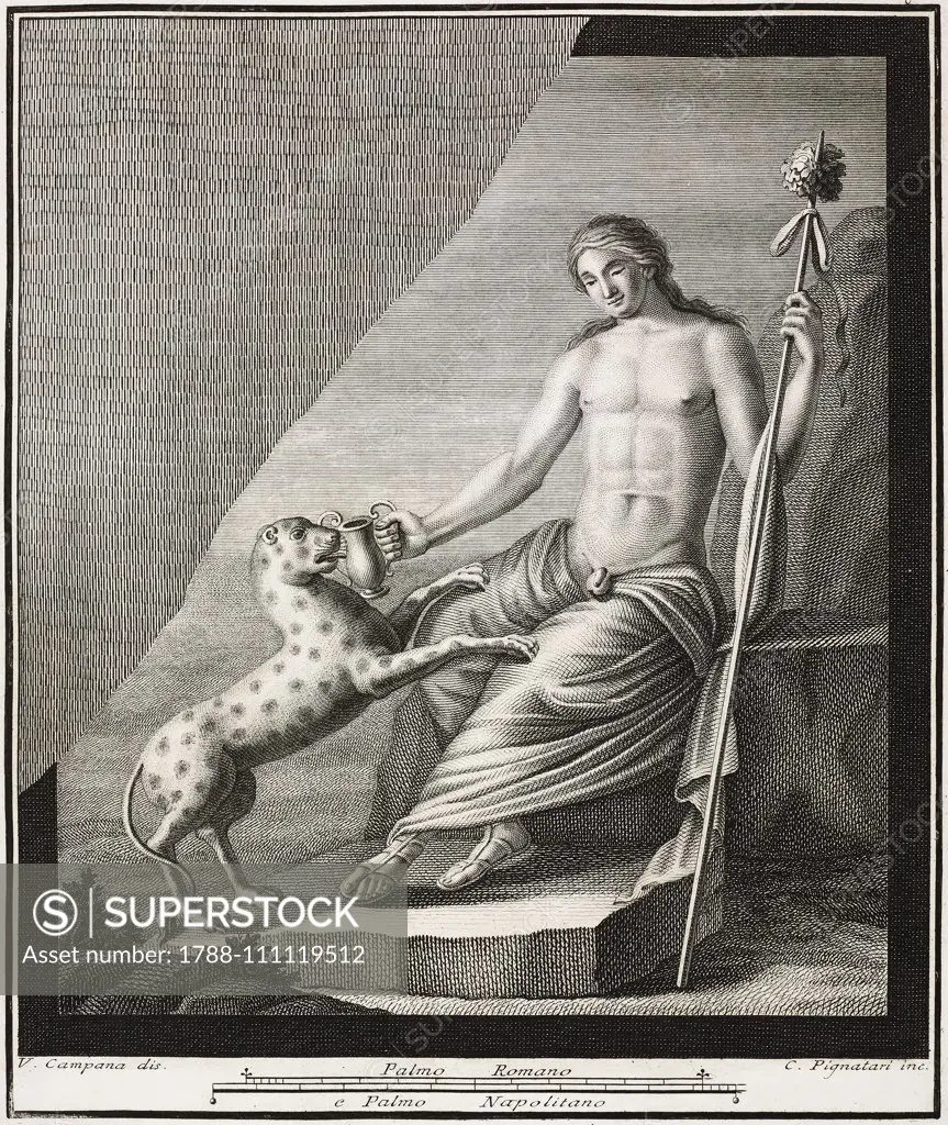 Bacchus with panther, Herculaneum, Campania, Italy, engraving by Pignatari  from a drawing by Campana, from Le antichita di Ercolano esposte (The  antiquities of Herculaneum exposed), Vv.Aa., volume V, plate 25, 1757-1787,  Naples. -