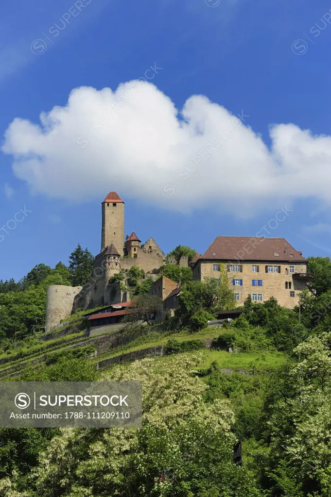 The Hornberg Castle, 11th century (restored in the 19th century), Neckar Valley, Baden-Wurttemberg, Germany.