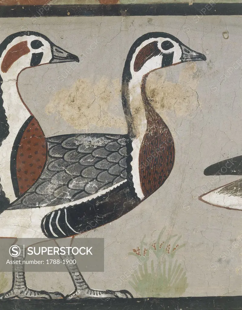 Egyptian civilisation. Meidum geese painting, detail