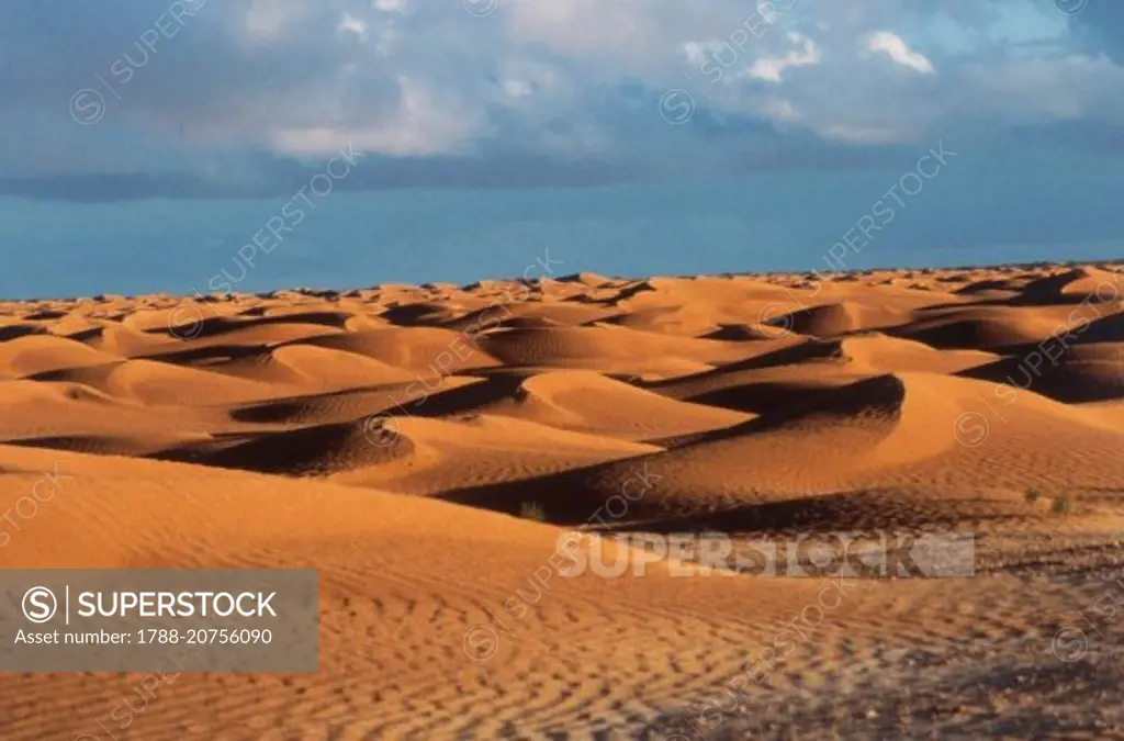 Sand dunes, last offshoot of the Grand Erg Oriental, Sahara Desert, Gabes Governorate, Tunisia.