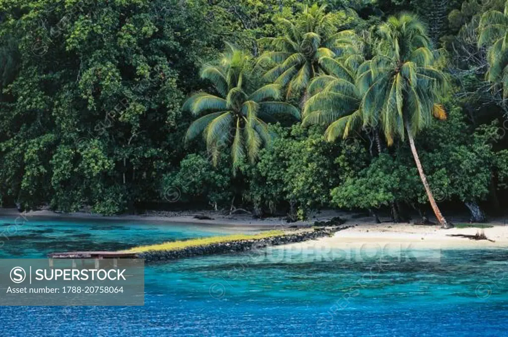 Pier, beach and palm trees, Tahaa, Society Islands, French Polynesia, Overseas Territory of France.