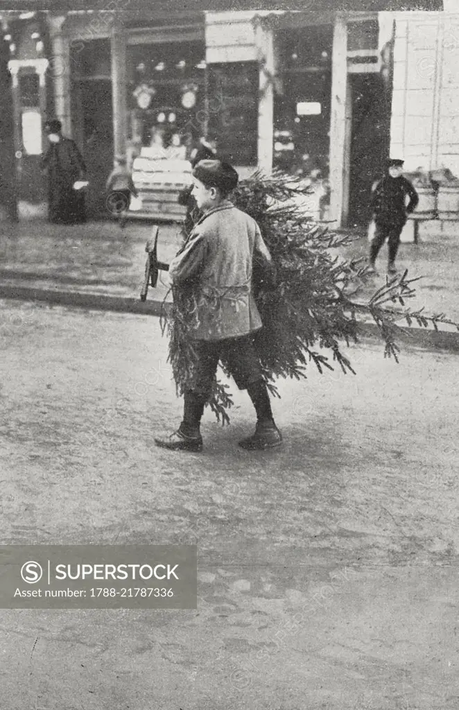 A child bringing home a Christmas tree, photograph by Adolfo Croce, from L'Illustrazione Italiana, Year XXXIII, No 51, December 23, 1906.