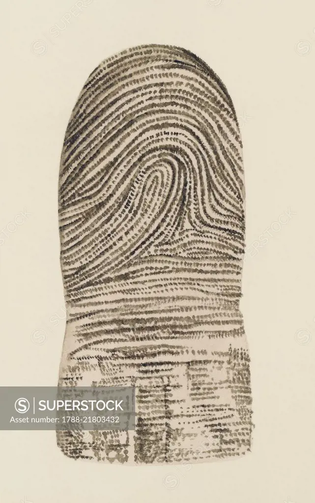 Fingerprint, human body, drawing.