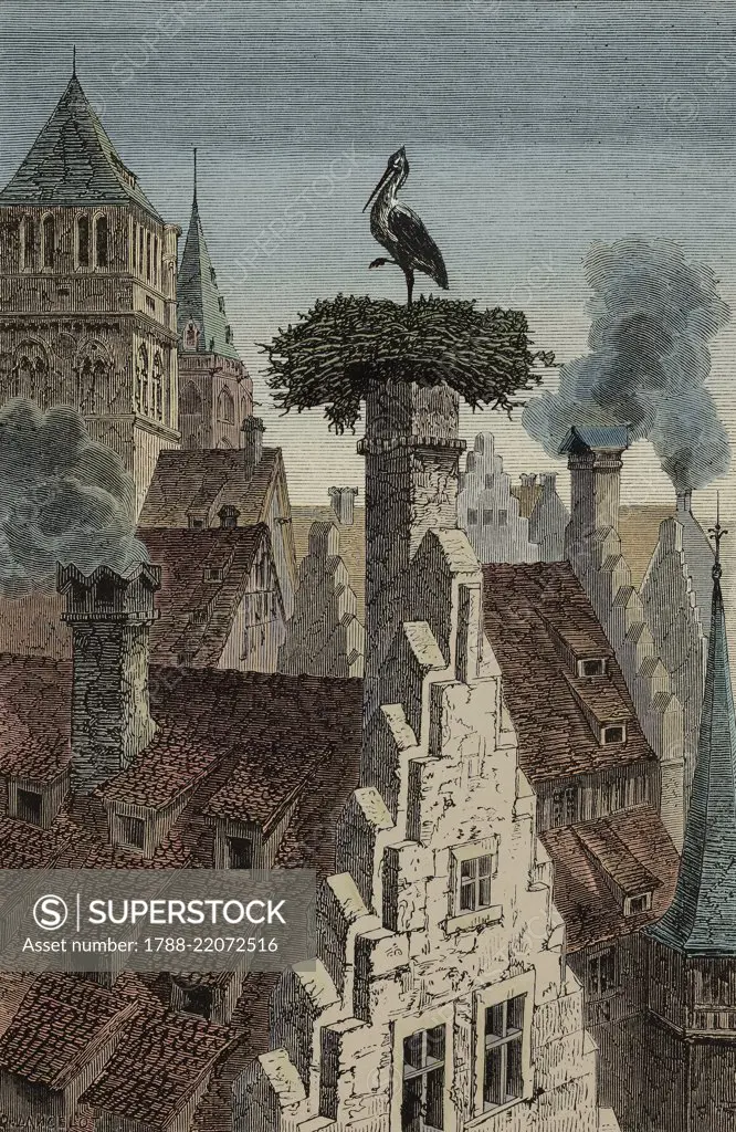 Stork's nest, Strasbourg, France, from Causeries de voyage: de Paris a Vienne (1860) by Victor Duruy (1811-1894), from Il Giro del mondo (World Tour), Journal of geography, travel and costumes, Volume IV, Issue 6, August 10, 1865. Digitally colorized image.