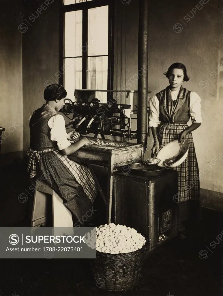 Twisting machine to reel and twist silk at the same time, Regia Stazione Bacologica Sperimentale. Italy, 20th century.