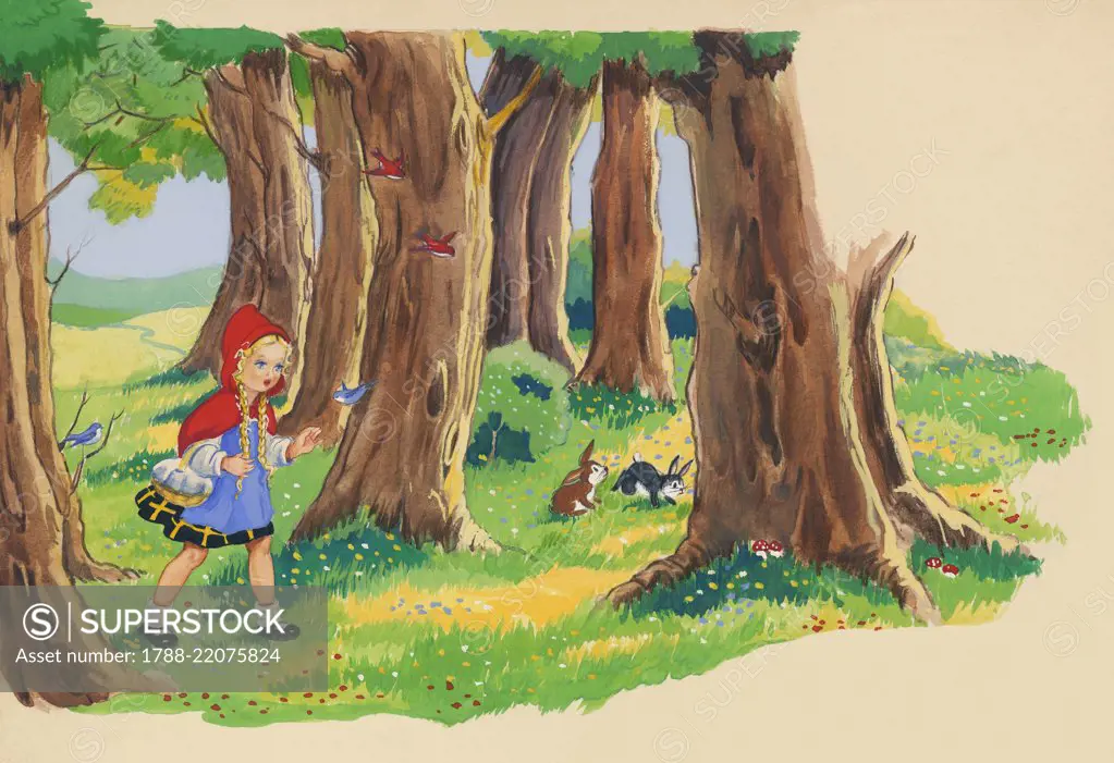 Little Red Riding Hood in the woods, illustration for the European fairy tale Little Red Riding Hood, drawing.