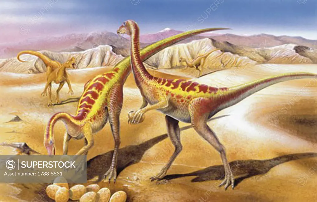 Illustration of Anserimimus by nest