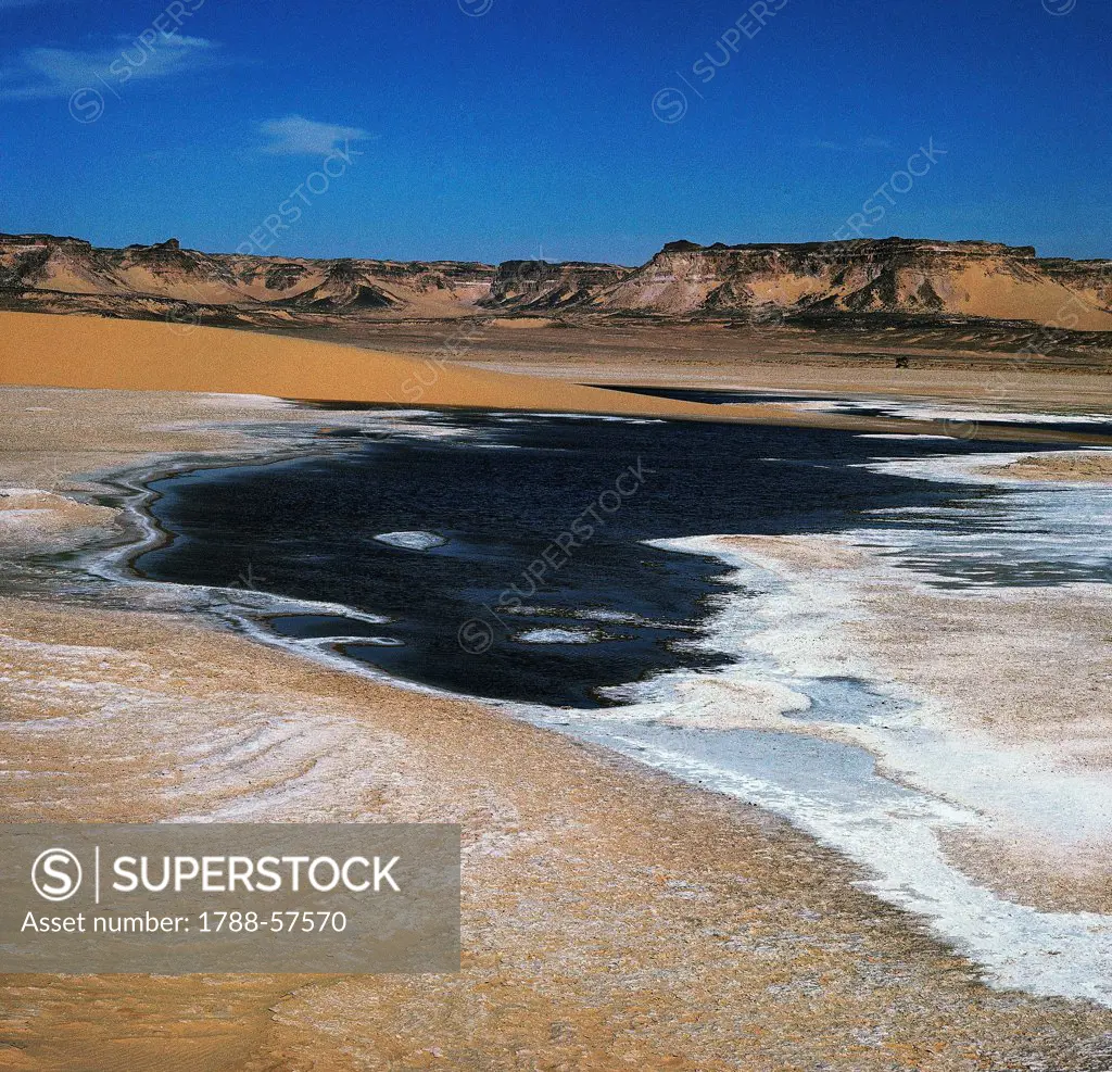 Salt spring, oasis of Bilma, in the background the Bilma cliffs, Niger.