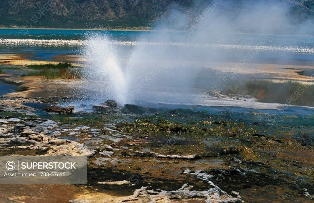 Geyser, Lake Bogoria, saline alkaline lake in the Great Rift Valley, Kenya.