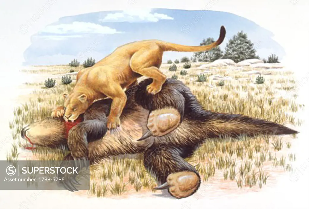 Illustration of Smilodon feeding on dead Megatherium (Giant Ground Sloth)