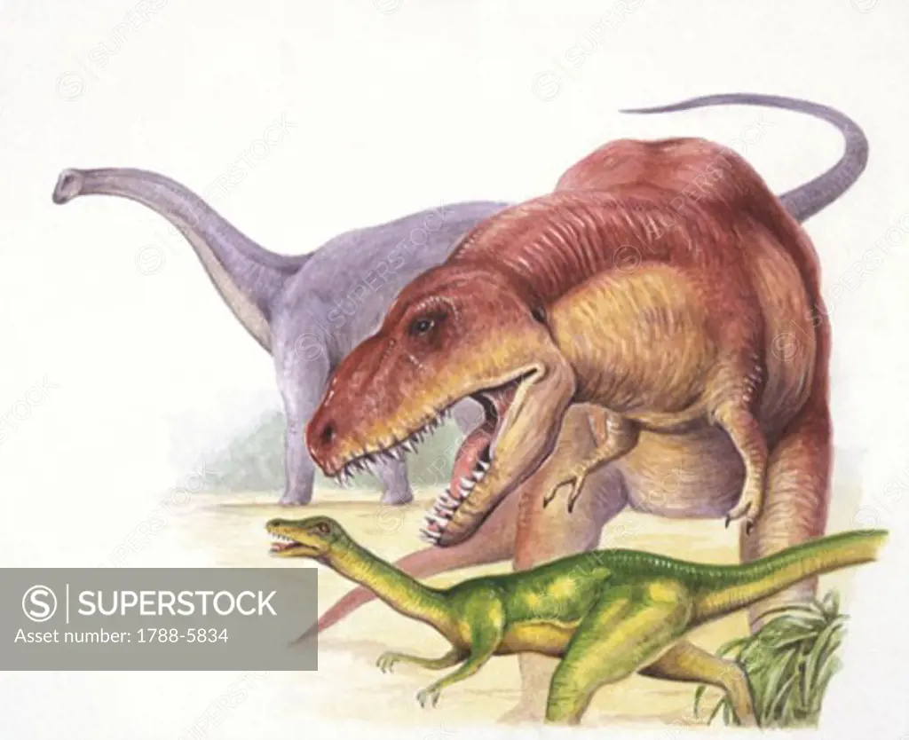 Illustration of Indosuchus roaring at Jubbulpuria dinosaur