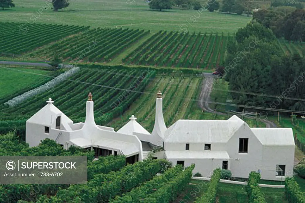 New Zealand - Napier - Vineyards