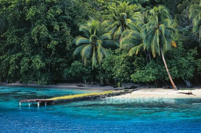 Pier, beach and palm trees, Tahaa, Society Islands, French Polynesia, Overseas Territory of France.