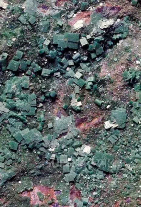 Tabular crystal of Torbernite, phosphate, radioactive mineral.